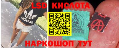 крисы Мариинск