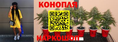крисы Мариинск